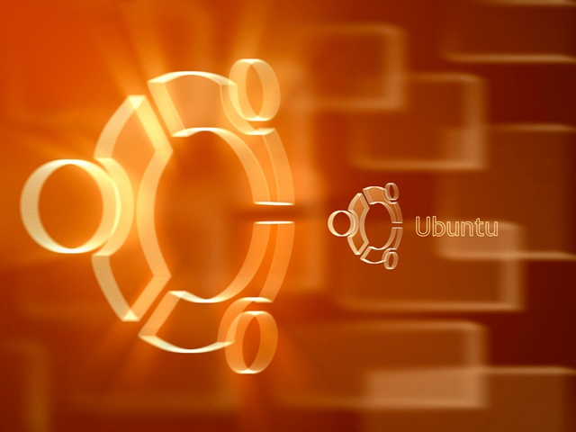 Actualizar Ubuntu Server desde la consola